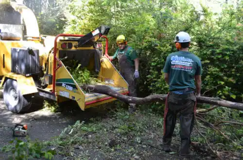 tree services Lake Zurich